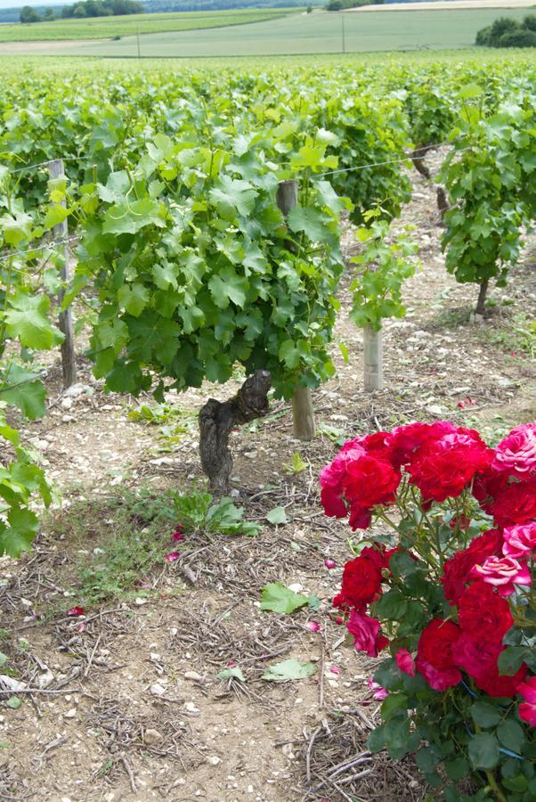 La Pouillyzotte Bed & Breakfast ภายนอก รูปภาพ